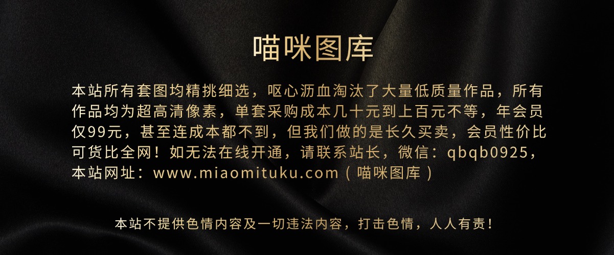 幻灯片-喵咪图库