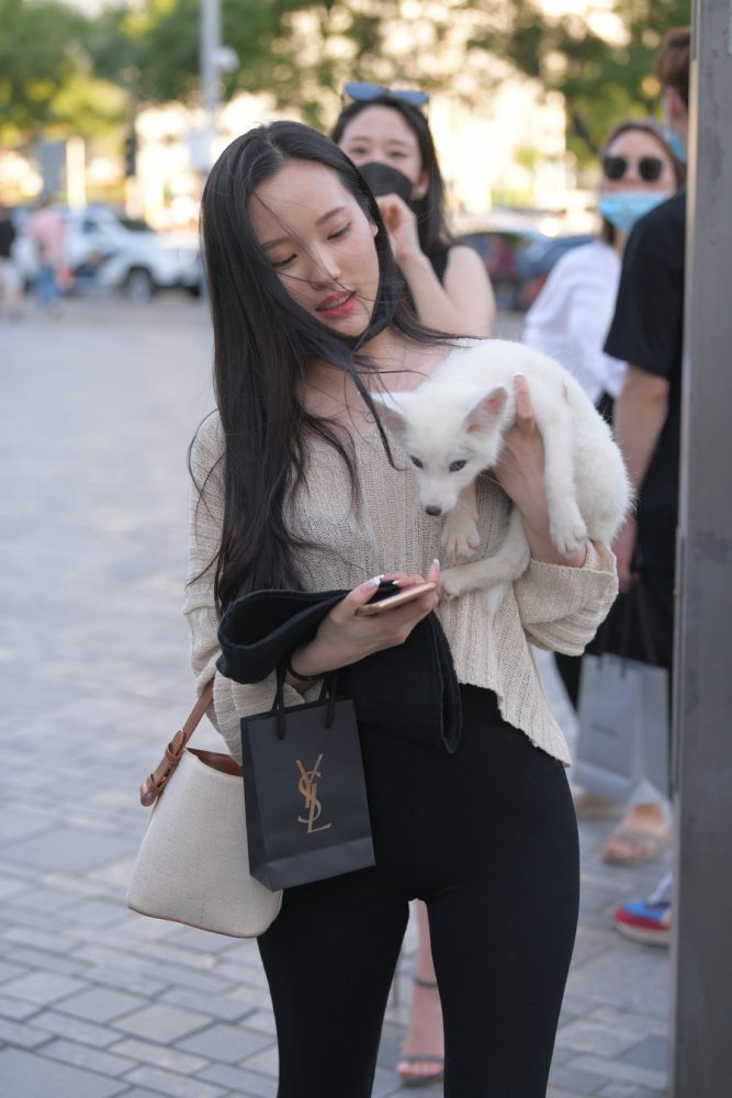 抱着小狗的漂亮女孩 J2106 136P-3.25GB-喵咪图库